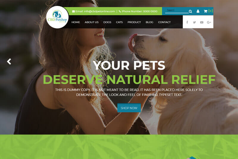 Websites project by IO Technologies