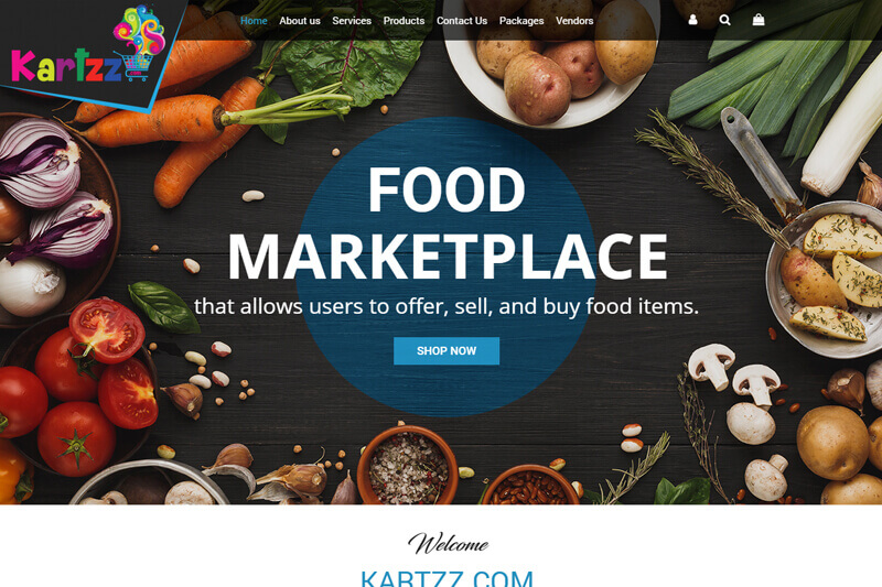 Websites project by IO Technologies